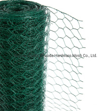 China Supply Amazon Green PVC Coated Chicken Wire Mesh